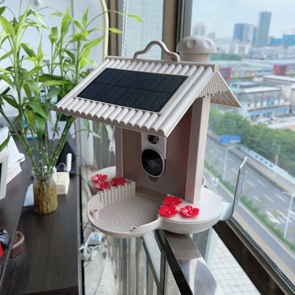Comedero para pájaros con cámara y reconocimiento de pájaros por IA para el jardín - Con célula solar incorporada