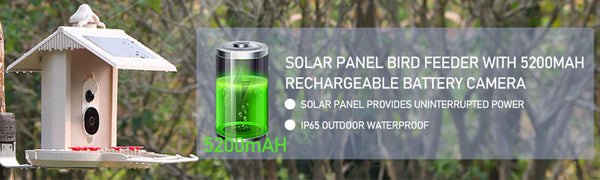 Comedero para pájaros con cámara y reconocimiento de pájaros por IA para el jardín - Con célula solar incorporada
