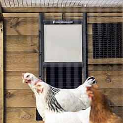 Trampilla para gallineros - Chicken Guard